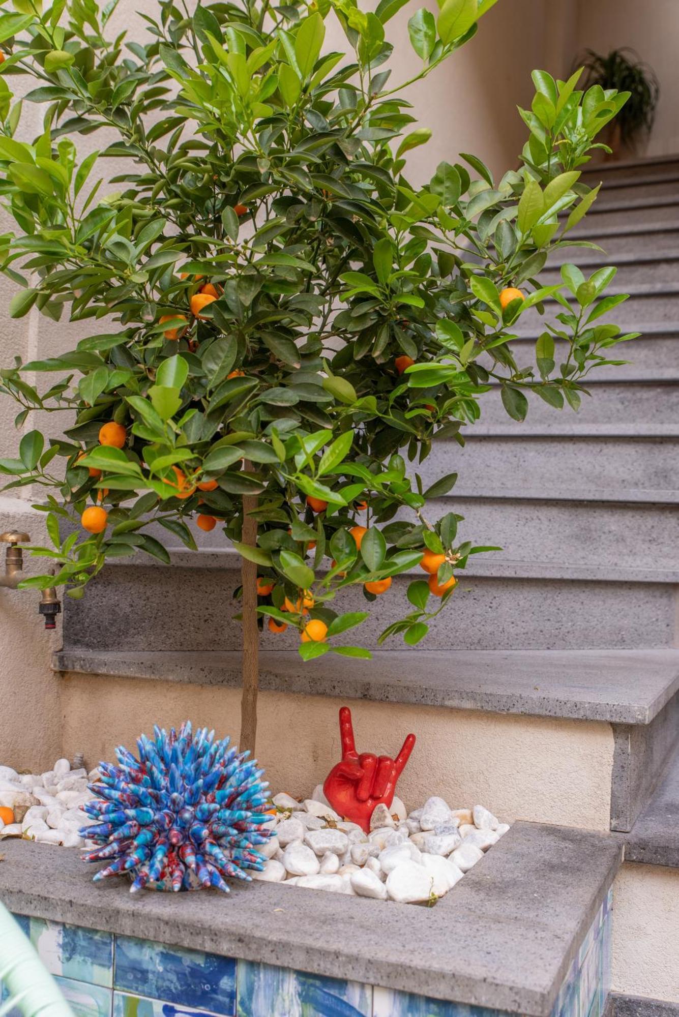 Villa D'Orville Luxury Suites Taormina Ngoại thất bức ảnh